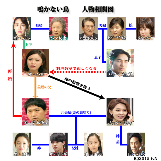 韓国ドラマ-鳴かない鳥-あらすじ20～23話-感想: 韓国ドラマのあらすじ